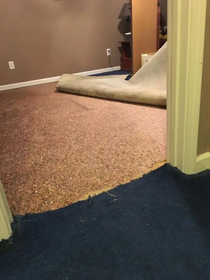 Carpet pad removal revealing water damage during Water Mitigation Services in Rehoboth