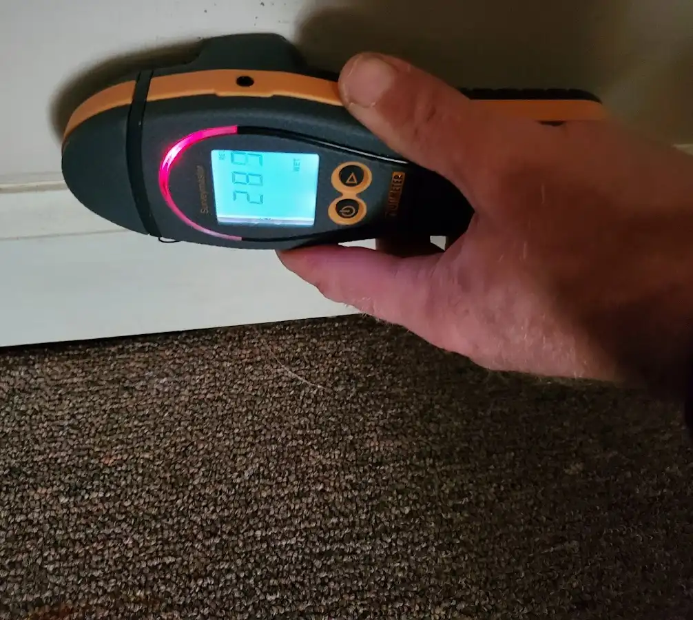 Moisture detection at baseboard during Sewage Cleanup & Sanitation in Rehoboth